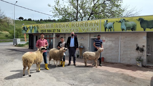 Demir Adak Kurban merkezi önünde seçilen kurbanlık hayvanlar